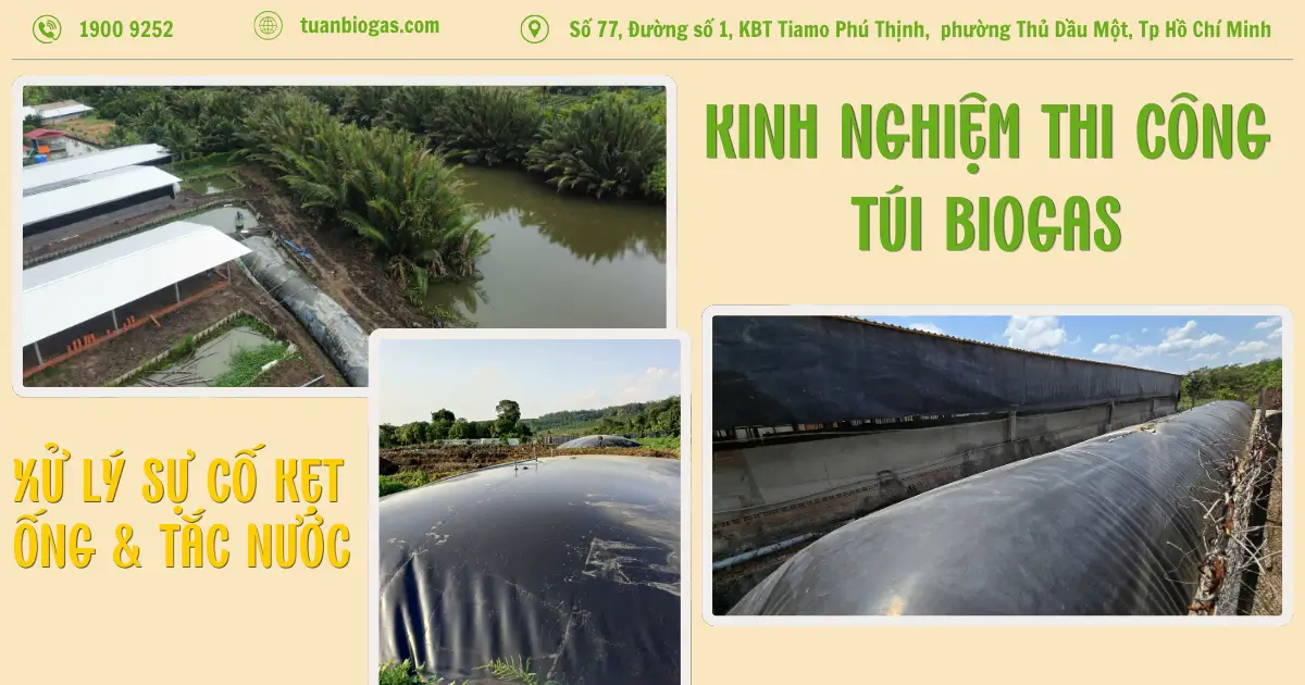 Kinh Nghiệm Thi Công Túi Biogas Thực Chiến: Xử Lý Sự Cố Kẹt Ống & Chuẩn Hóa Hố Biogas